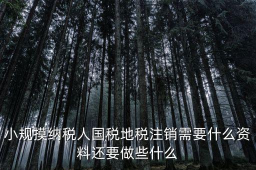 國地稅注銷需要什么，小規(guī)摸納稅人國稅地稅注銷需要什么資料還要做些什么