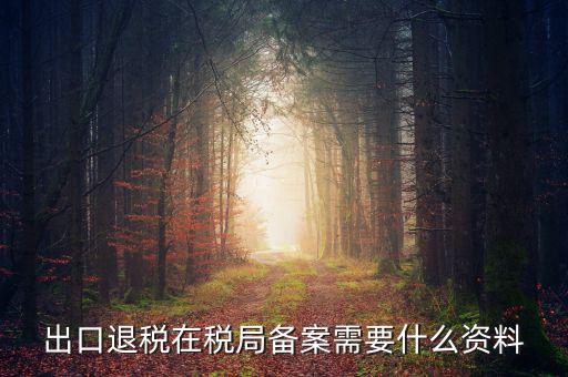 出口退稅備份什么格式，出口退稅單證備案