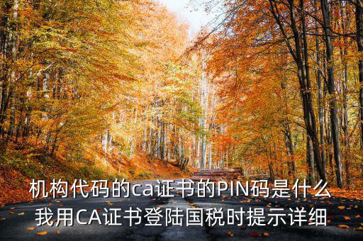 國稅ca證書登錄 密碼是什么，國稅第一次網(wǎng)上申報的登陸密碼是什么