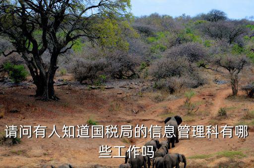 稅務信息崗位主要負責什么，地稅信息中心具體做些什么工作
