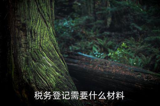 稅務(wù)辦理需要什么東西，辦理稅務(wù)登記證都需要帶什么東西