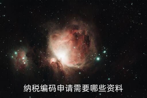 預(yù)約繳稅號需提供什么資料，納稅編碼申請需要哪些資料