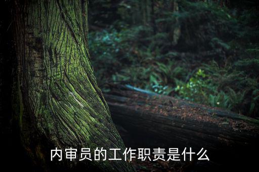 督察內(nèi)審是什么工作，內(nèi)審監(jiān)察主要工作職能
