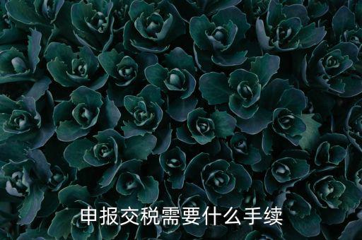辦理稅務(wù)需要什么手續(xù)，稅務(wù)登記 代辦需要什么手續(xù)