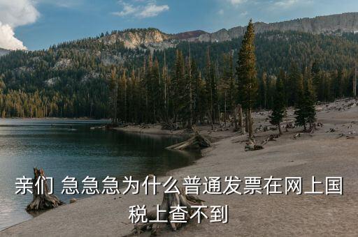 為什么發(fā)票在國稅網(wǎng)，親們 急急急為什么普通發(fā)票在網(wǎng)上國稅上查不到