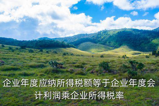 應納稅所得額等于什么，什么是應納稅所得額