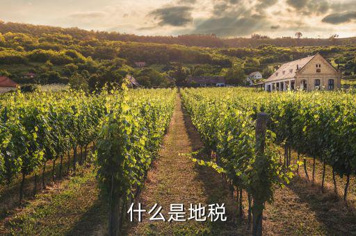 地稅和什么有關(guān)，什么是地稅