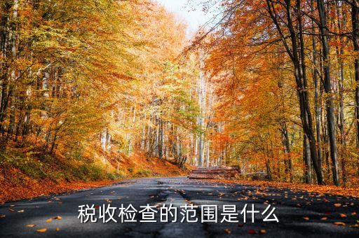 在地稅局需要檢查什么地方，稅務(wù)年檢是什么地方的來檢查
