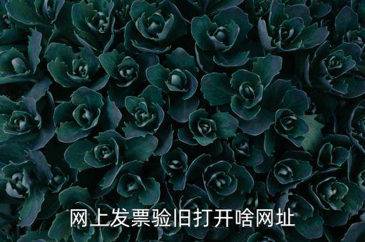 山東省網(wǎng)絡(luò)開票網(wǎng)址是什么，網(wǎng)上發(fā)票驗(yàn)舊打開啥網(wǎng)址