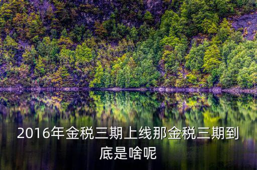 金三稅是指什么，金稅三期是什么意思
