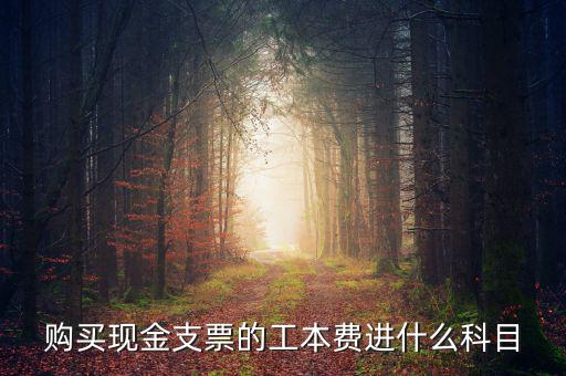 發(fā)票工本費(fèi)什么科，買支票的工本費(fèi)和手續(xù)費(fèi)分別進(jìn)什么科目
