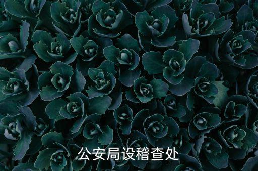 稽查處是什么部門，公安局設稽查處
