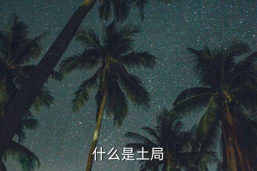 土稅局是什么意思，什么是土局