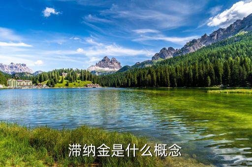 稅務(wù)局的滯納金是什么意思，稅收滯納金還有什么什么滯納金是什么意思