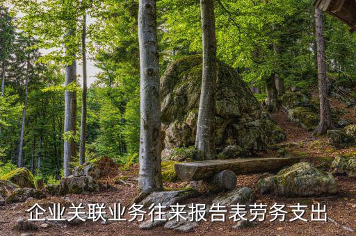 什么是關(guān)聯(lián)業(yè)務(wù)往來報(bào)告表，什么是關(guān)聯(lián)業(yè)務(wù)往來