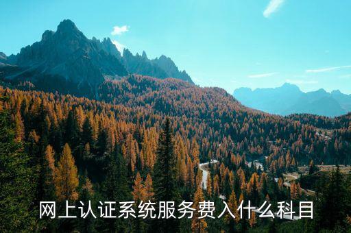 網上認證服務費是什么，網上認證系統(tǒng)服務費入什么科目