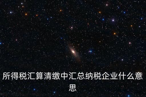 什么匯總納稅企業(yè)所得稅，關(guān)于企業(yè)所得稅匯總繳納