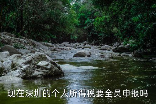 深圳為什么要個稅申報，外地企業(yè)如何在深圳為什么還要繳納個人所得稅1