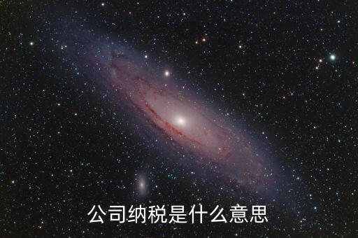 企業(yè)納稅是指什么，企業(yè)交稅是什么意思