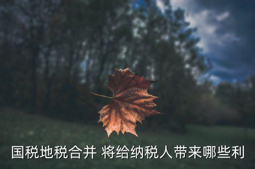 國(guó)地稅合作給地方帶來什么，國(guó)地稅合并后將帶來哪些變化對(duì)于財(cái)務(wù)工作人員有哪些便利  搜