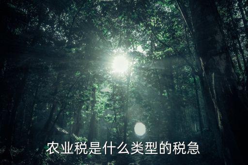 農(nóng)業(yè)稅屬于什么稅種，農(nóng)業(yè)稅就是人口稅嗎