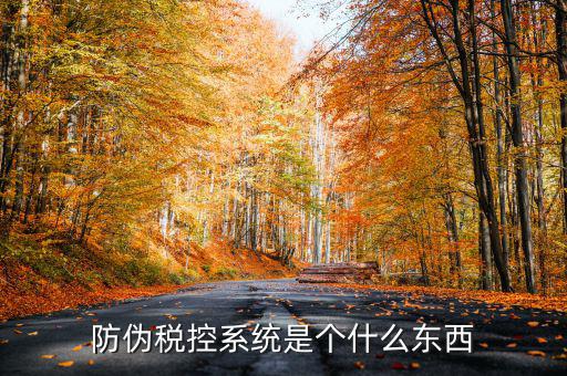 防偽稅控一體化什么時候，營改增后漢字防偽企業(yè)抄報稅時需要使用什么設(shè)備