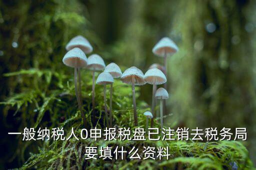 注銷金稅盤需要帶什么資料，請(qǐng)問注銷稅務(wù)登記需要提供哪些資料