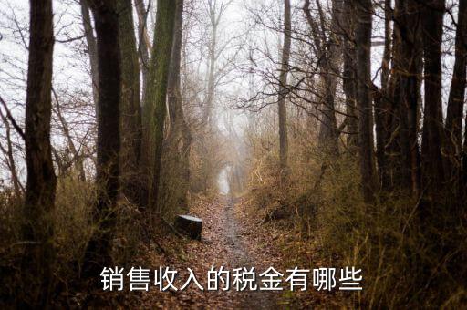 銷售交什么稅，銷售收入的稅金有哪些