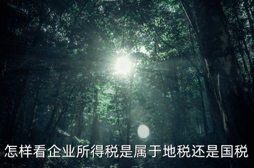 所得稅屬于什么稅，所得稅包括什么稅