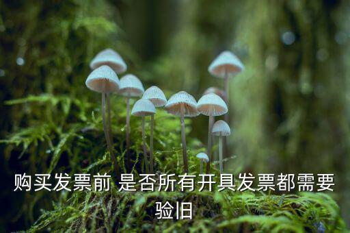 購(gòu)買(mǎi)發(fā)票前 是否所有開(kāi)具發(fā)票都需要驗(yàn)舊