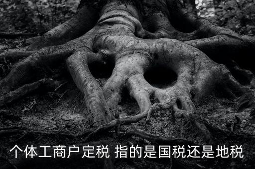 個(gè)體戶定稅是什么意思，疑難國(guó)稅個(gè)體戶定稅