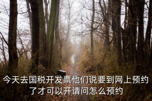 國(guó)稅預(yù)約的是什么，拿金稅盤去國(guó)稅前臺(tái)弄要預(yù)約嗎