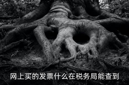 網(wǎng)上查發(fā)票能查到什么內(nèi)容，網(wǎng)上買的發(fā)票什么在稅務(wù)局能查到