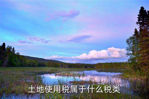 土地使用稅是放在什么類別里的，土地使用稅屬于什么稅類