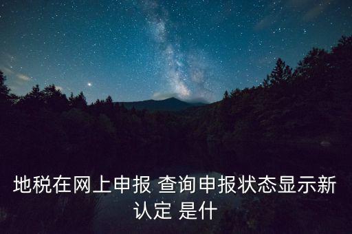 地稅在網(wǎng)上申報(bào) 查詢(xún)申報(bào)狀態(tài)顯示新認(rèn)定 是什