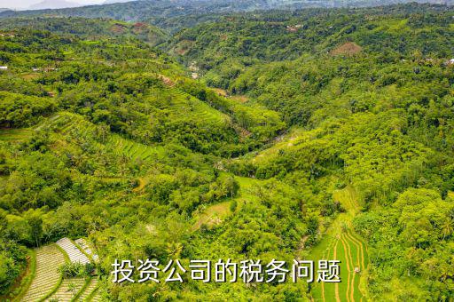 投資公司需要交什么稅，投資公司修建寺院需要上稅嗎上什么稅種