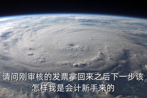 發(fā)票核定完之后接下來(lái)做什么，請(qǐng)問(wèn)剛審核的發(fā)票拿回來(lái)之后下一步該怎樣我是會(huì)計(jì)新手來(lái)的