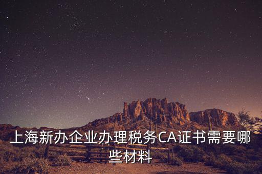 2014年7月份上海稅務局還需要審什么證，上海新辦企業(yè)辦理稅務CA證書需要哪些材料