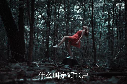 國(guó)稅的定期定額戶是什么意思，國(guó)稅買票需要定稅或建賬是什么意思