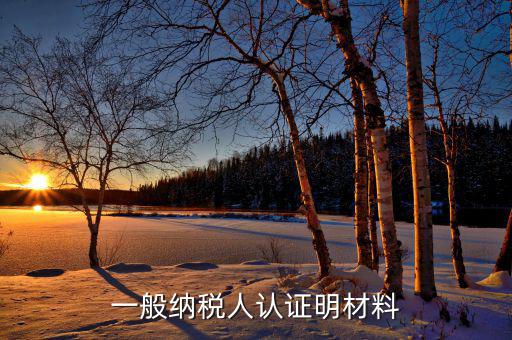 認證一般納稅人的要什么資料，一般納稅人認證明材料