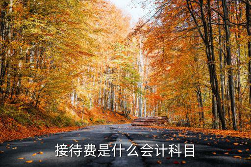 接待費(fèi)計(jì)入什么科目，業(yè)務(wù)招待費(fèi)屬于什么會(huì)計(jì)科目