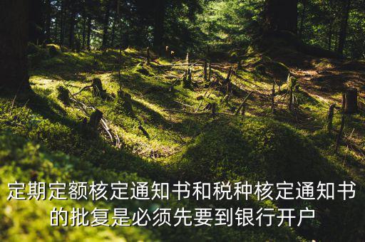 定期定額核定通知書和稅種核定通知書的批復(fù)是必須先要到銀行開(kāi)戶
