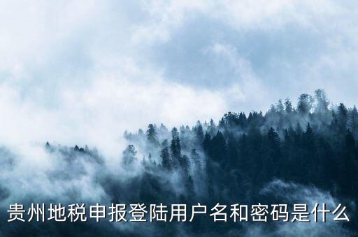 地稅登錄名密碼是什么意思，地稅申報(bào)的用戶名和密碼是什么
