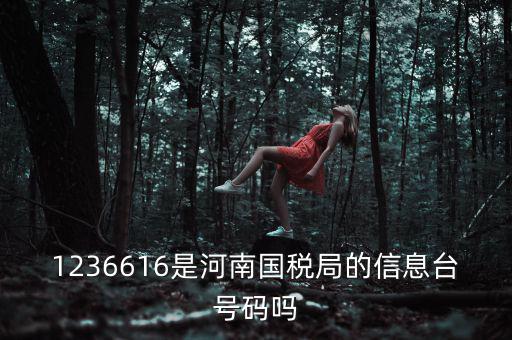 河南省國(guó)家稅務(wù)局賬號(hào)是什么，登錄國(guó)稅網(wǎng)上辦稅服務(wù)廳的用戶(hù)名和密碼是什么