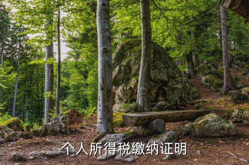 個人稅務證明是什么，什么是個人納稅證明