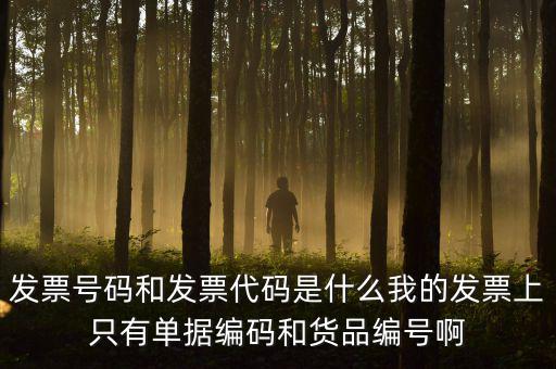 專(zhuān)用發(fā)票號(hào)碼是什么意思，發(fā)票號(hào)碼是什么意思