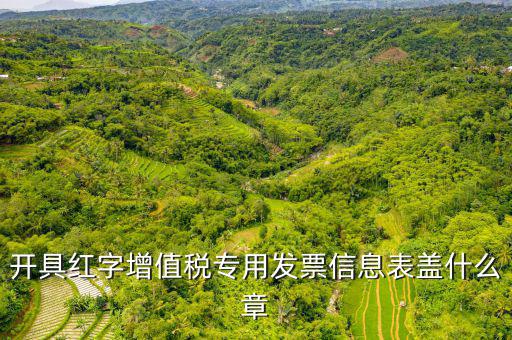 發(fā)票章什么樣子，開具紅字增值稅專用發(fā)票信息表蓋什么章