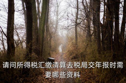 公司稅務(wù)年報(bào)需要什么，問企業(yè)所得稅年報(bào)怎么報(bào)需要什么資料