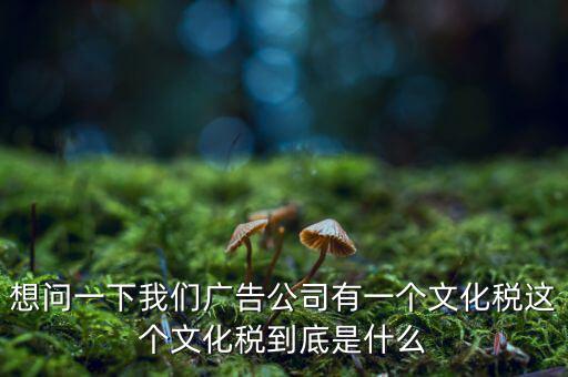 什么是稅務文化，和諧地稅文化的內(nèi)涵應包括哪些方面