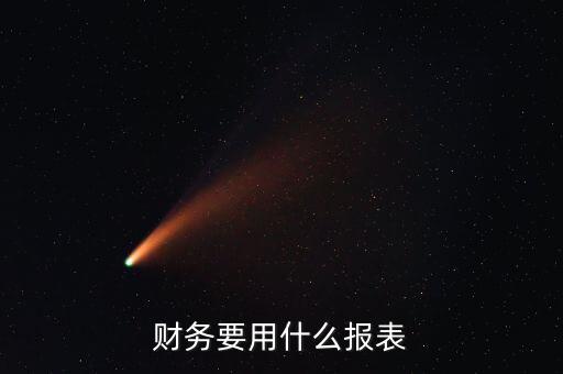財務報表類型選擇什么，財務要用什么報表